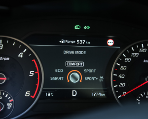 Kia Stinger Red Details  (23)